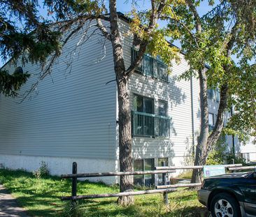 Cochrane House Apartments - Photo 5