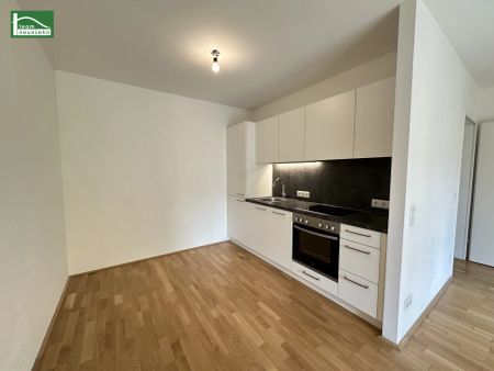 LEO 131 - Hochwertige 1-Zimmer Wohnung in Hofruhelage! Rasche Anbindung zum Bahnhof Floridsdorf - Foto 2