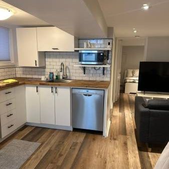 Fully Renovated 1 Bedroom Lower-Level Suite near TTC Subway Station - Photo 3