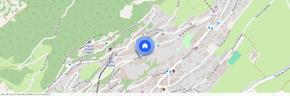 1854, Leysin, Route du Chamossaire, 3