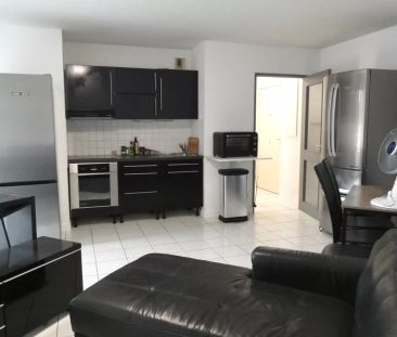 Location T2 meublé Lyon 3ème 44 m2 - Photo 1