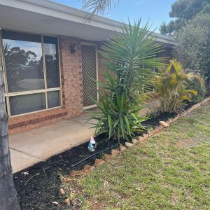 Huge property in quiet street. - Photo 3