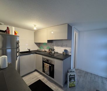 Appartement 1 pièce à Village-Neuf - Photo 5