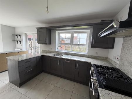 24 Springhill Meadows, Ballyclare, BT39 9LD - Photo 5