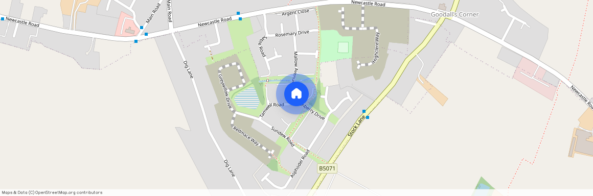 Marshfern Place, Shavington