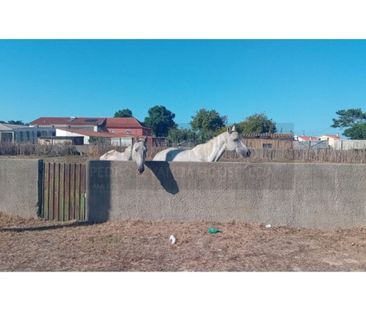 4 room luxury House for rent in Sintra, Lisbon - Photo 4