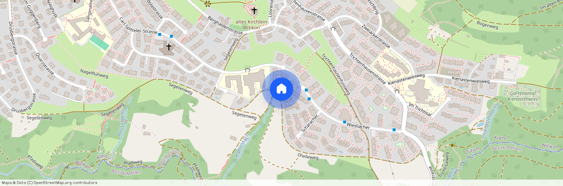 8053, Zürich, Wiesliacher, 95