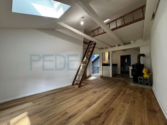 À louer ? Joli 1,5 pièce rénové avec mezzanine ? Un logement plein de charme - Photo 1