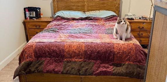 CESSION DE BAIL - Photo 2