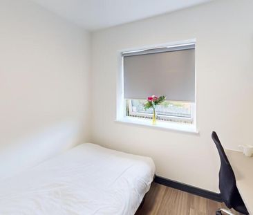 Studio to rent - Photo 2