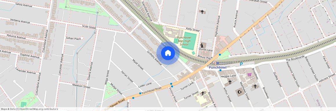 34 South Terrace, NSW 2196, Punchbowl