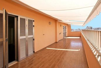 Palma de Mallorca, Balearic Islands 07003