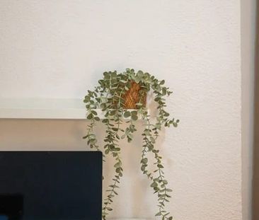 Calle del Poeta Joan Maragall, Madrid, Community of Madrid 28020 - Photo 6