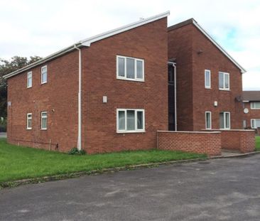 Studio to rent - Photo 6