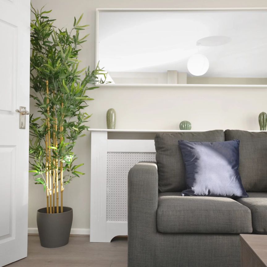 119 Candy Street-Room 2 - Photo 1