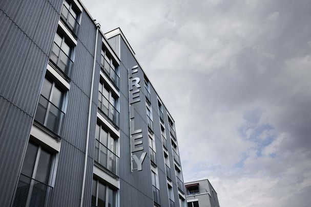 Rent a 2 ½ rooms apartment in Zürich - Foto 1