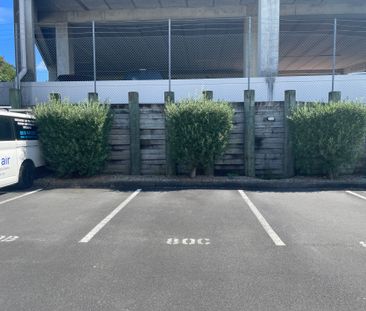 Modern Apartment in the Heart of Flat Bush - Photo 1