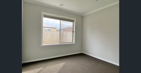 For Lease - Young & Spacious! - Photo 3