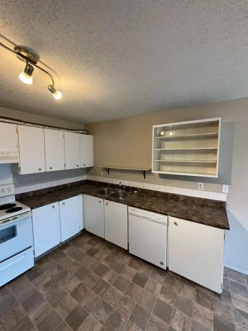 3 BEDROOM / 1 BATH HOUSE IN CASTLERIDGE-TONS OF SPACE FOR STORAGE A MUST SEE — 331 Castleridge Drive NE - Photo 2