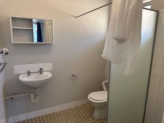 One Bedroom Unit Directly Opposite Park! - Photo 1