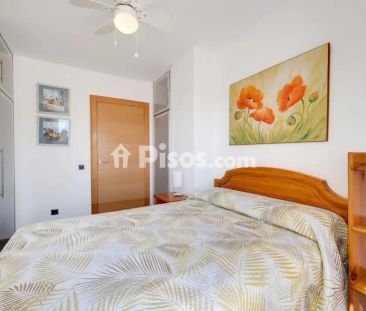 Apartamento en alquiler en Torrevieja - Foto 3