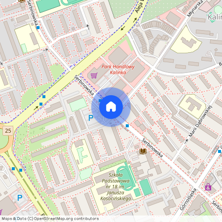 ul. Serbinowska, Osiedle XXV-lecia, Kalisz, wielkopolskie