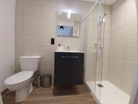 Location Appartement 1 pièce 19m² ORLEANS 45000 - Photo 4