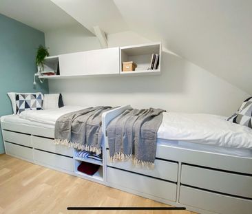Pronájem bytu • 15 m²Králova, Brno - Žabovřesky, Jihomoravský kraj - Fotografie 3