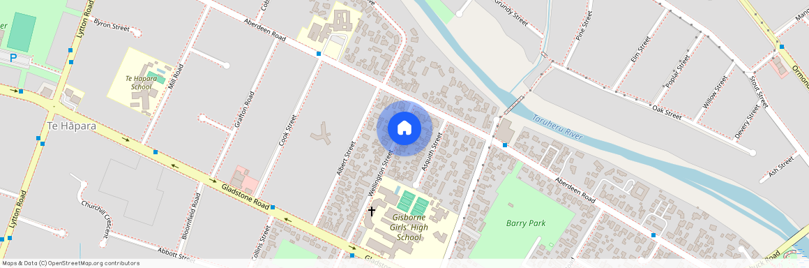 8 Wellington Street, Te Hapara, Gisborne