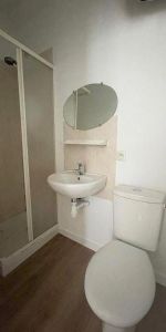 Location Appartement 1 pièce 18m² NANTES 44000 - Photo 3