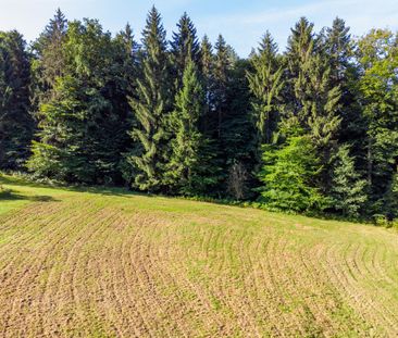 Haus mit großem Grund und Wald zur Miete - Foto 1
