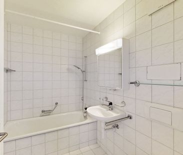 Living on the Rhine River - Photo 5