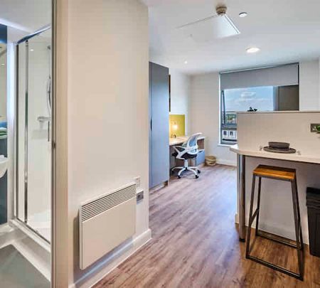 Studio Silver Plus - Photo 5