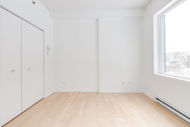 Condo for rent, Montréal (Saint-Laurent) - Photo 1