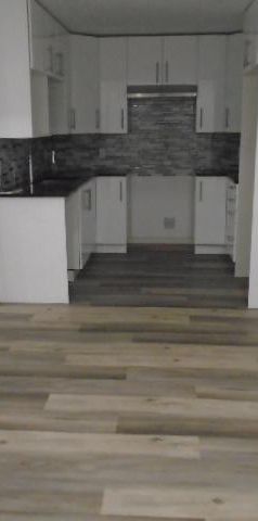 4 ½ rue Drapeau Montréal Nord LIBRE - Photo 1