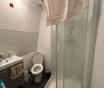 Location Appartement 1 pièce 16m² LILLE 59000 - Photo 4