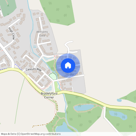 Mountford Drive, Bovey Tracey