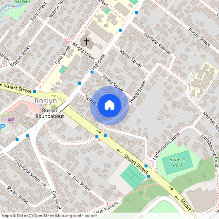 29 Selkirk Street, Roslyn, Dunedin