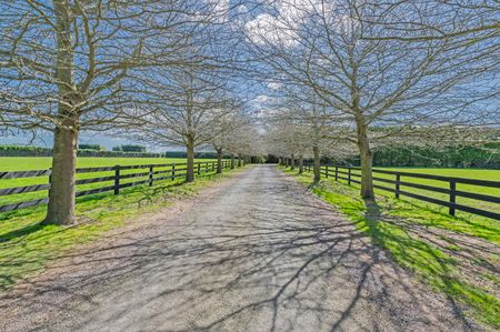 Rural paradise near Leeston - Photo 2