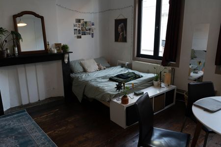 kamer 1.4 - hele ruime kamer - Oude Houtlei 116 - Photo 4