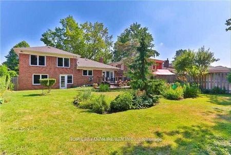 For Lease - 318 Betty Ann Drive Unit# Bsmnt, Toronto, Ontario - Photo 4