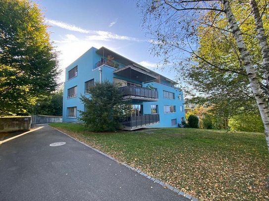 Grosszügige Maisonettewohnung an naturnaher Lage - Foto 1