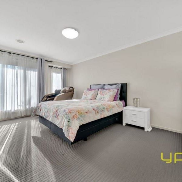 7 Guinea Flower Drive, CRANBOURNE WEST - Photo 1