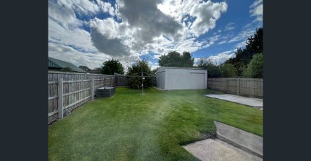 Spacious Living With Bonus Shed - Photo 4