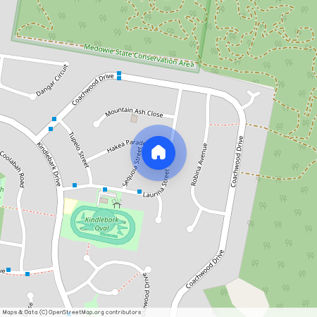 25 Laurina Street, Medowie NSW 2318