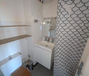 Location Appartement 1 pièce Meublé 17m² AIRE SUR L ADOUR 40800 - Photo 3