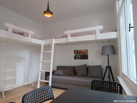 GEZELLIGE STUDIO IN CENTRUM ANTWERPEN - Foto 4