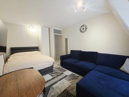 Studio Flat, Ebury Bridge Road, SW1W - Photo 4
