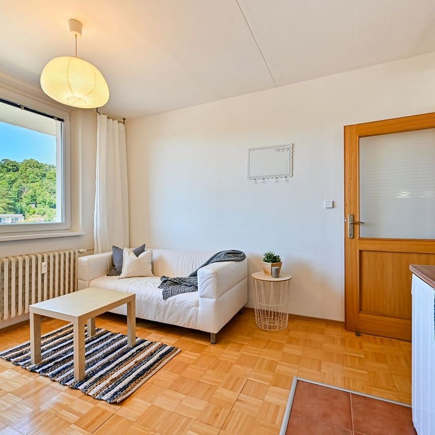 Pronájem bytu 1+1 42 m² - Photo 1