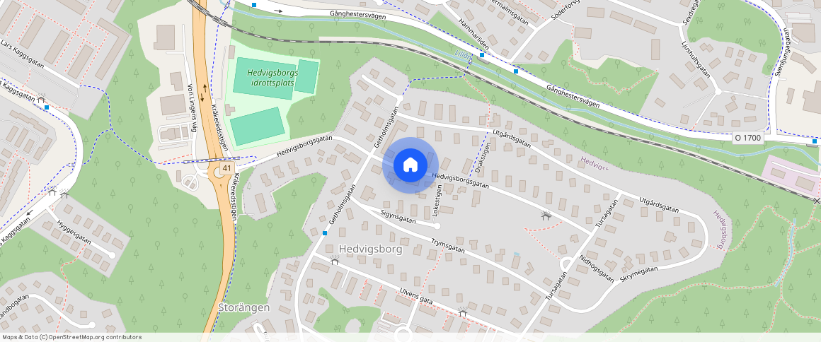 Hedvigsborgsgatan, Borås